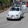 Burgio_2009 (354)